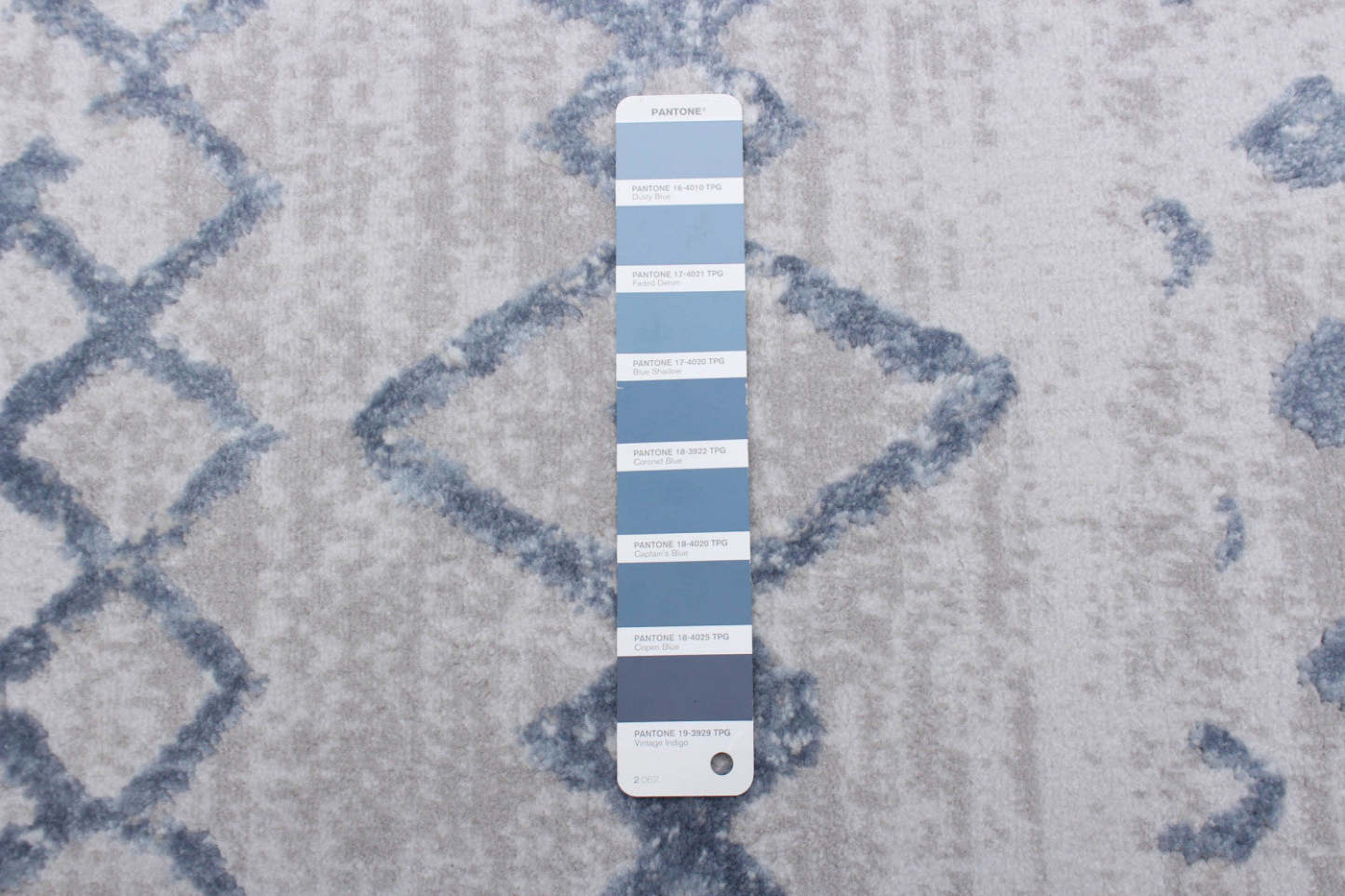 Tapis Dita Bleu - 3'11 X 5'7 |Carpette Dita bleue - 3 pi 11 po x 5 pi 7 po