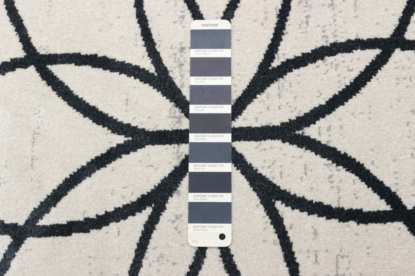 Tapis Terali ivoire lavable en machine - 5'0 x 7'0|Tapis Terali ivoire lavable à la machine - 5 pi 0 po x 7 pi 0 po|D86F5P5O