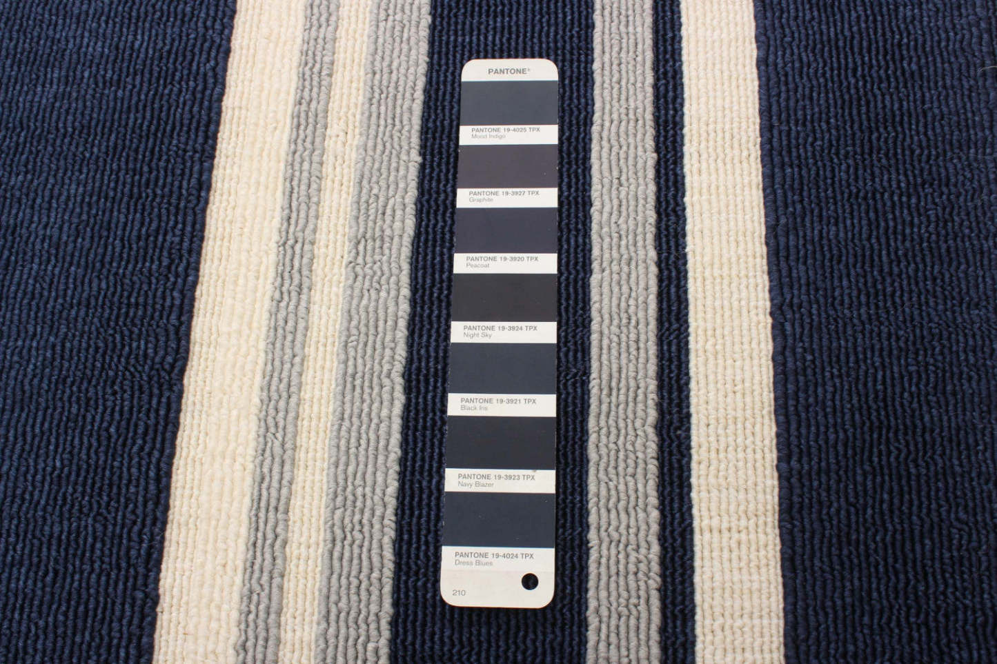 Tapis Talya Navy 5'3 x 7'7|Carpette Talya bleu marine 5 pi 3 po x 7 pi 7 po|D86F8L56