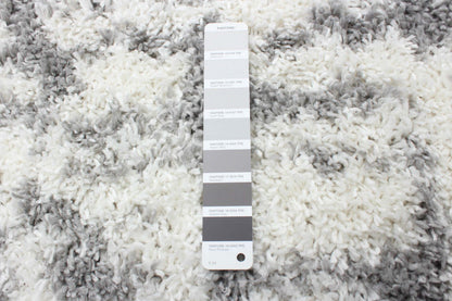 Helma Urban Cream, Light Grey Shag 3'11 X 5'11 Area Rug|Carpette à poil long Helma Urban crème gris clair 3 pi 11 po x 5 pi 11 po|D86FIJX3