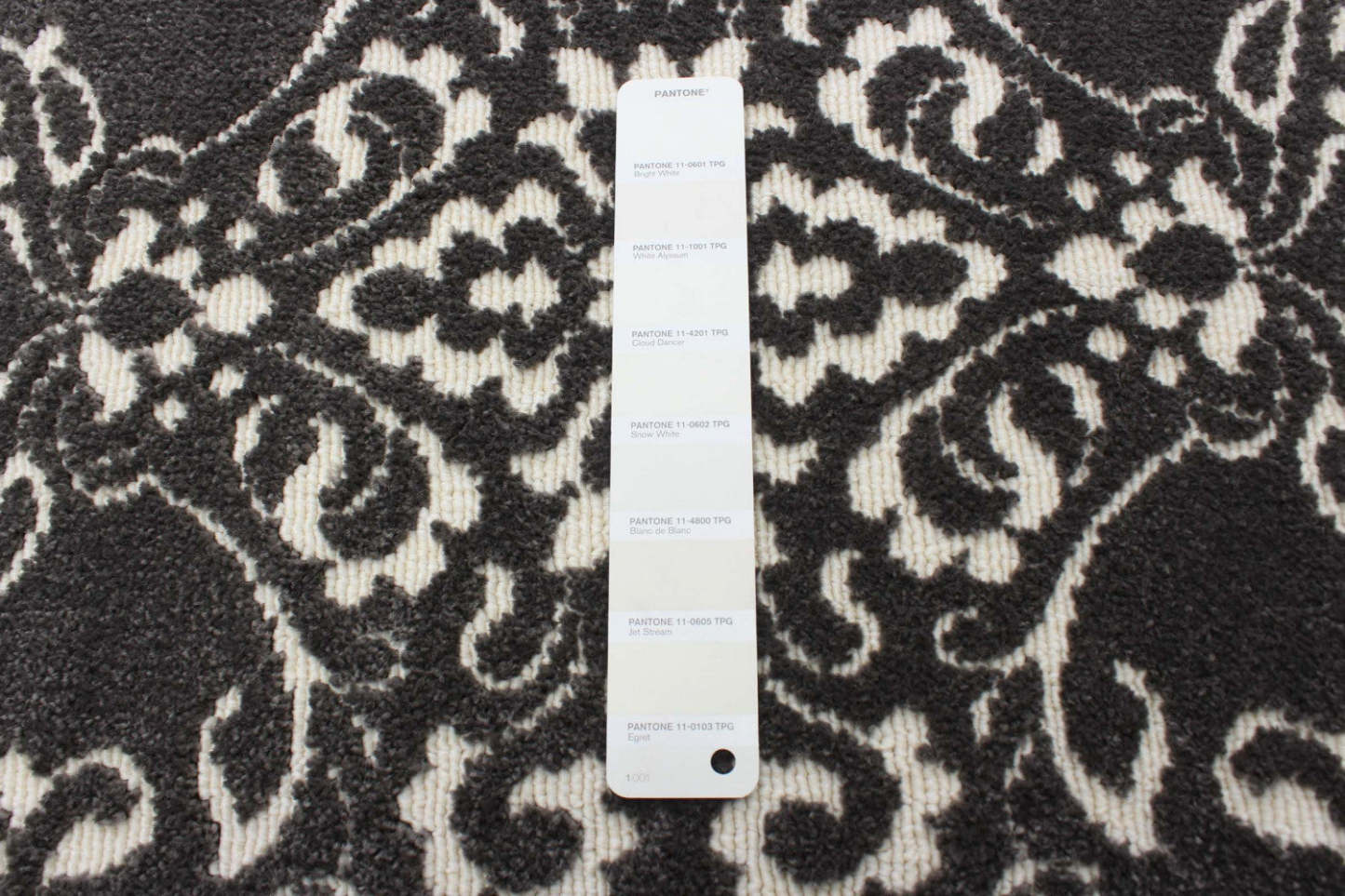 Tapis Caledonia Gris 2'8 x 4'11|Carpette Caledonia grise 2 pi 8 po x 4 pi 11 po|D86FYN2H