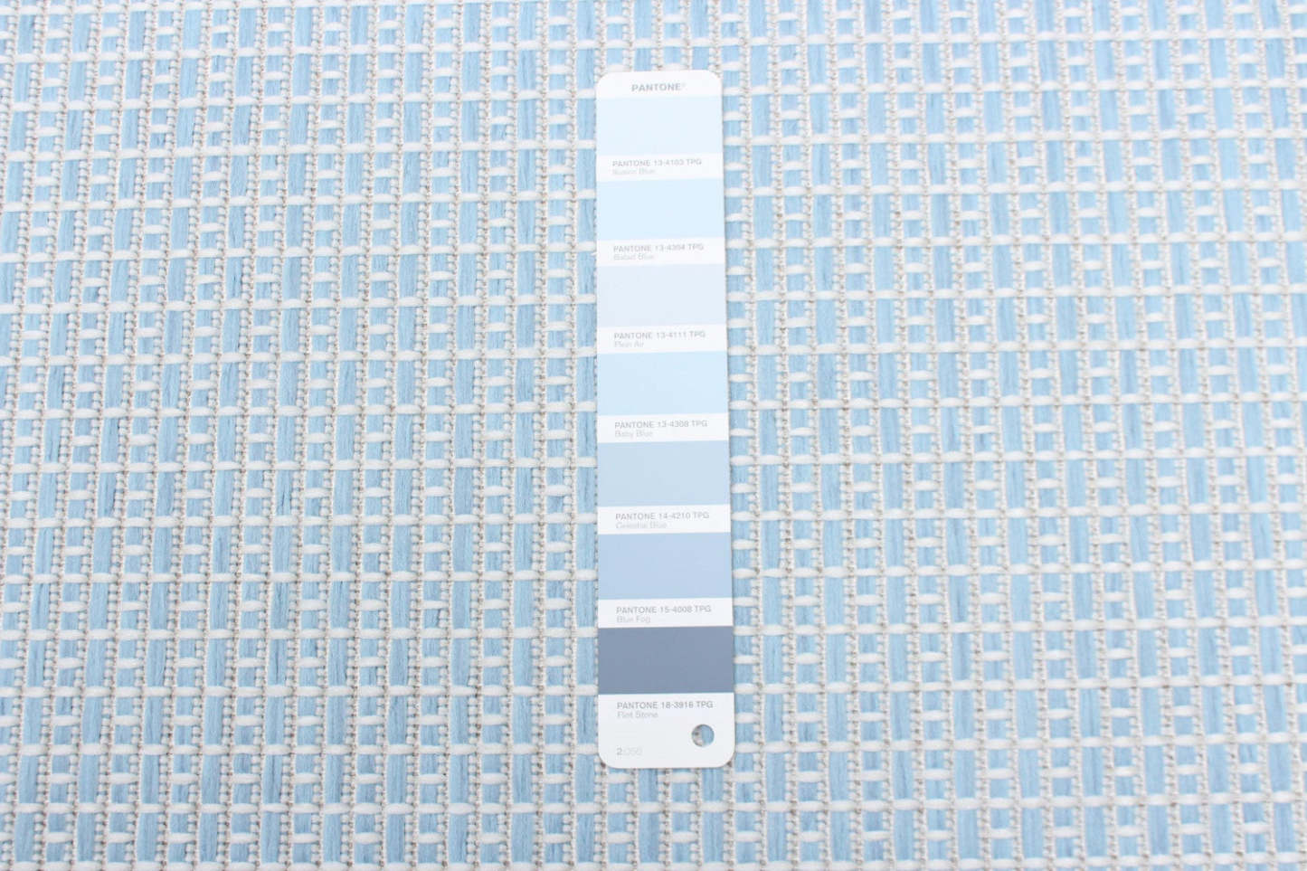 Tapis Neisha Classic bleu clair 201,8 x 290,9 cm | D86FDL4O