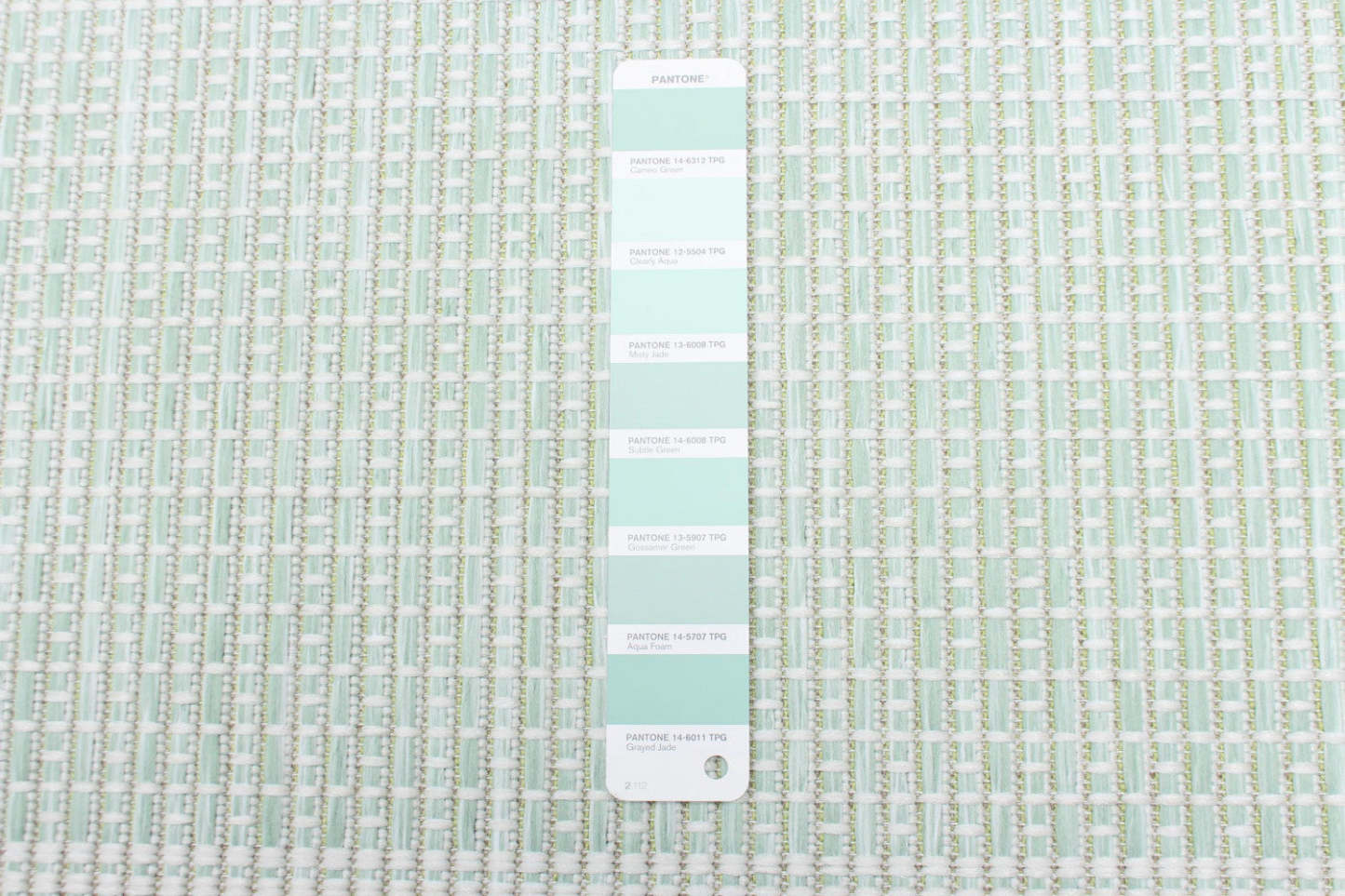 Carpette Neisha Classic menthe 5 pi 3 po x 7 pi 3 po|D86FWQ2Y