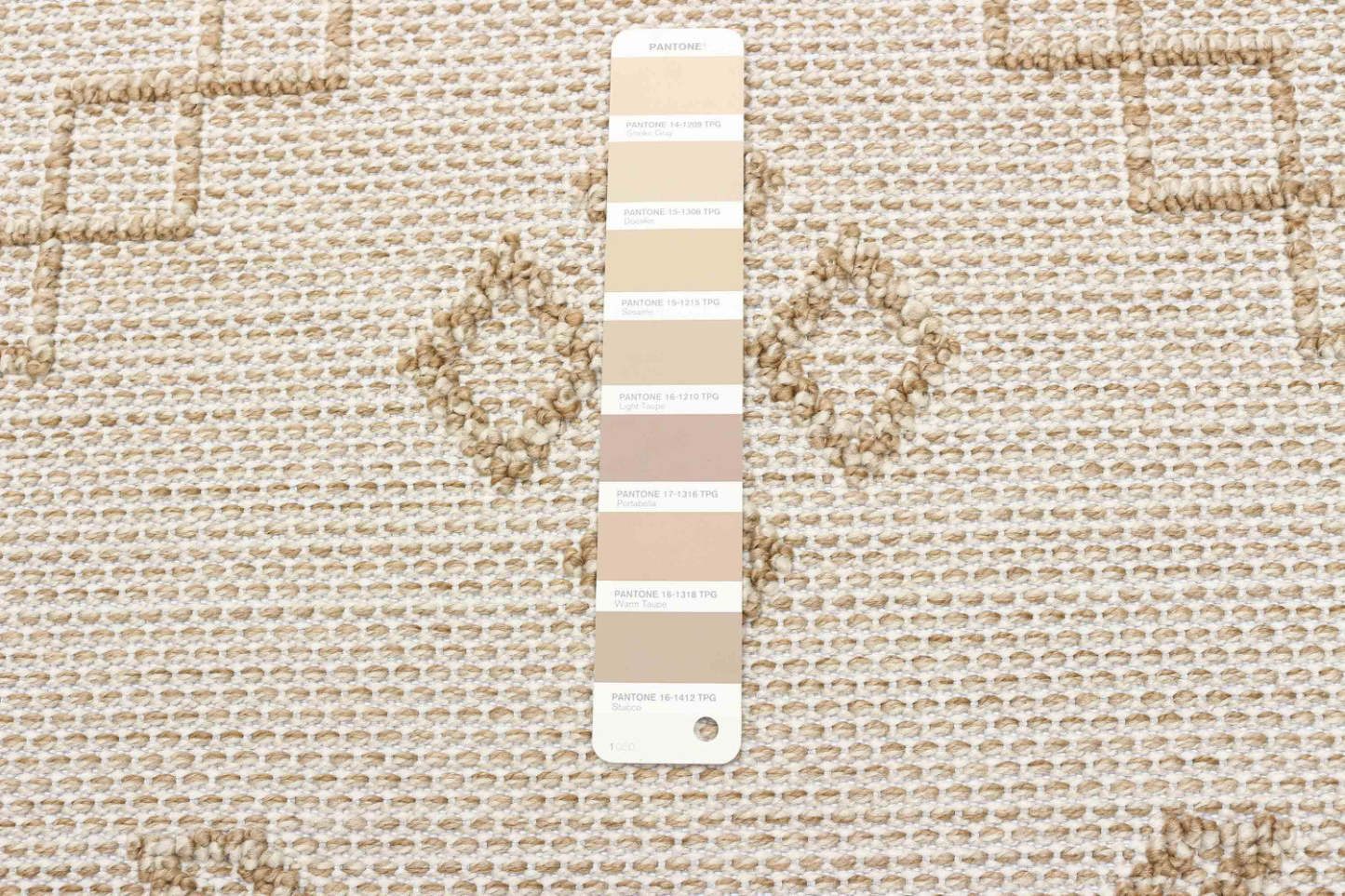 Tapis Panacea Taupe - 4'0 x 6'0|Carpette Panacea taupe - 4 pi 0 po x 6 pi 0 po|D86F8E4Q