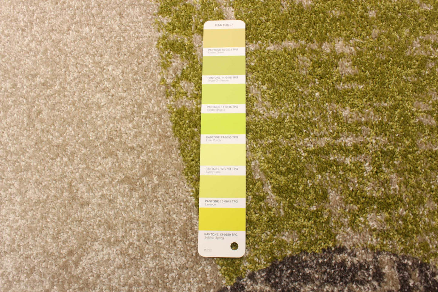 Tapis Ellegance Ivoire/Vert 2,39 m x 3,10 m | D27A1MOQ
