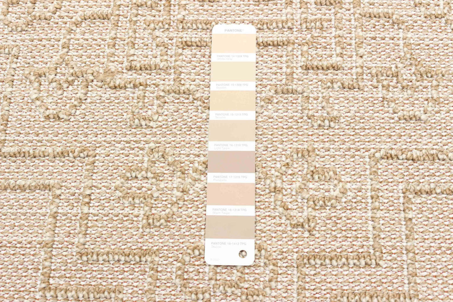 Tapis Halfrida taupe - 5'0 x 7'0|Carpette Halfrida taupe - 5 pi 0 po x 7 pi 0 po|D86FUCL1