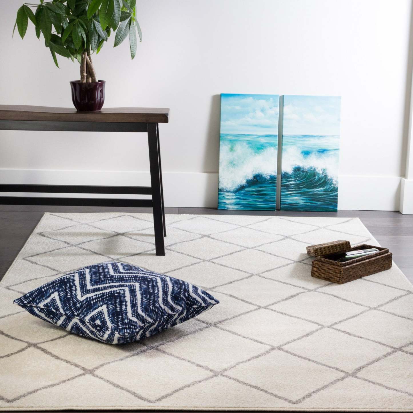 Tapis Lav Basics blanc 5 x 8 | D80GA67V