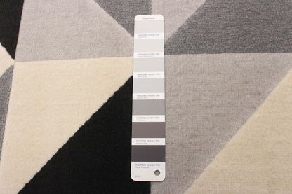 Nuria Black 3'11 x 5'7 Area Rug|Tapis Nuria noir 3 pi 11 po x 5 pi 7 po|D86FVGFS