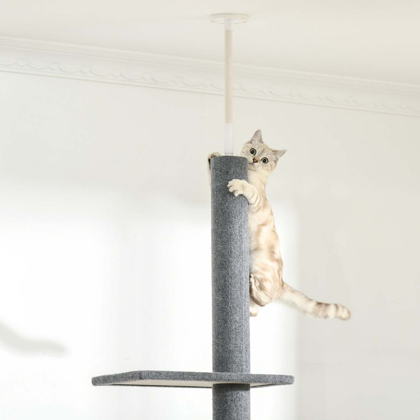 Pawhut 100 Arbre À Chat Du Sol Au Plafond Avec 3 Perchoirs Centre D'activités Pour Chatons Cat Tower Furniture