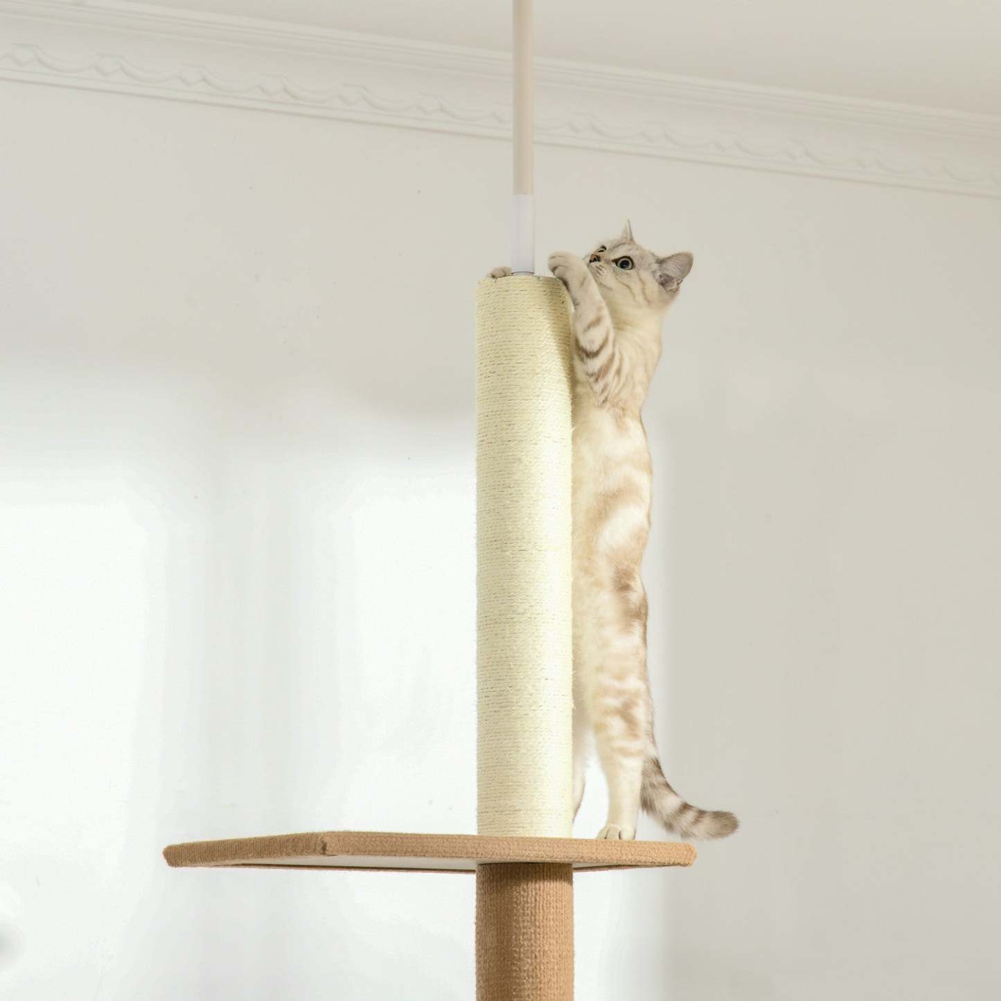 Pawhut 100 Arbre À Chat Du Sol Au Plafond Avec 3 Perchoirs Centre D'activités Pour Chatons, Tour À Chats Meuble, Marron