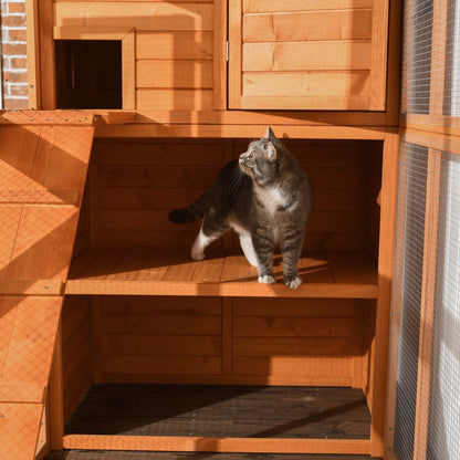 Pawhut Grande Catio Enclos Extérieur Pour Chats Résistant aux Intempéries Maison Pour Chats Avec Condo, Chat En Bois Intérieur