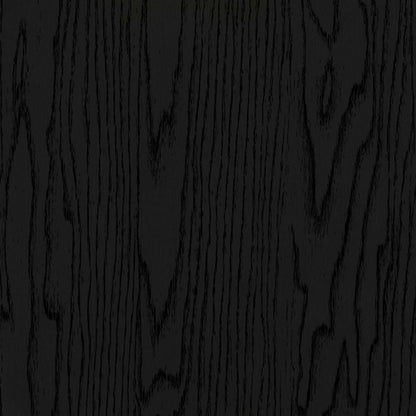 Nordika Armoire de rangement mince à 2 portes - Noir | Armoire de rangement mince Nordika à 2 portes - noire