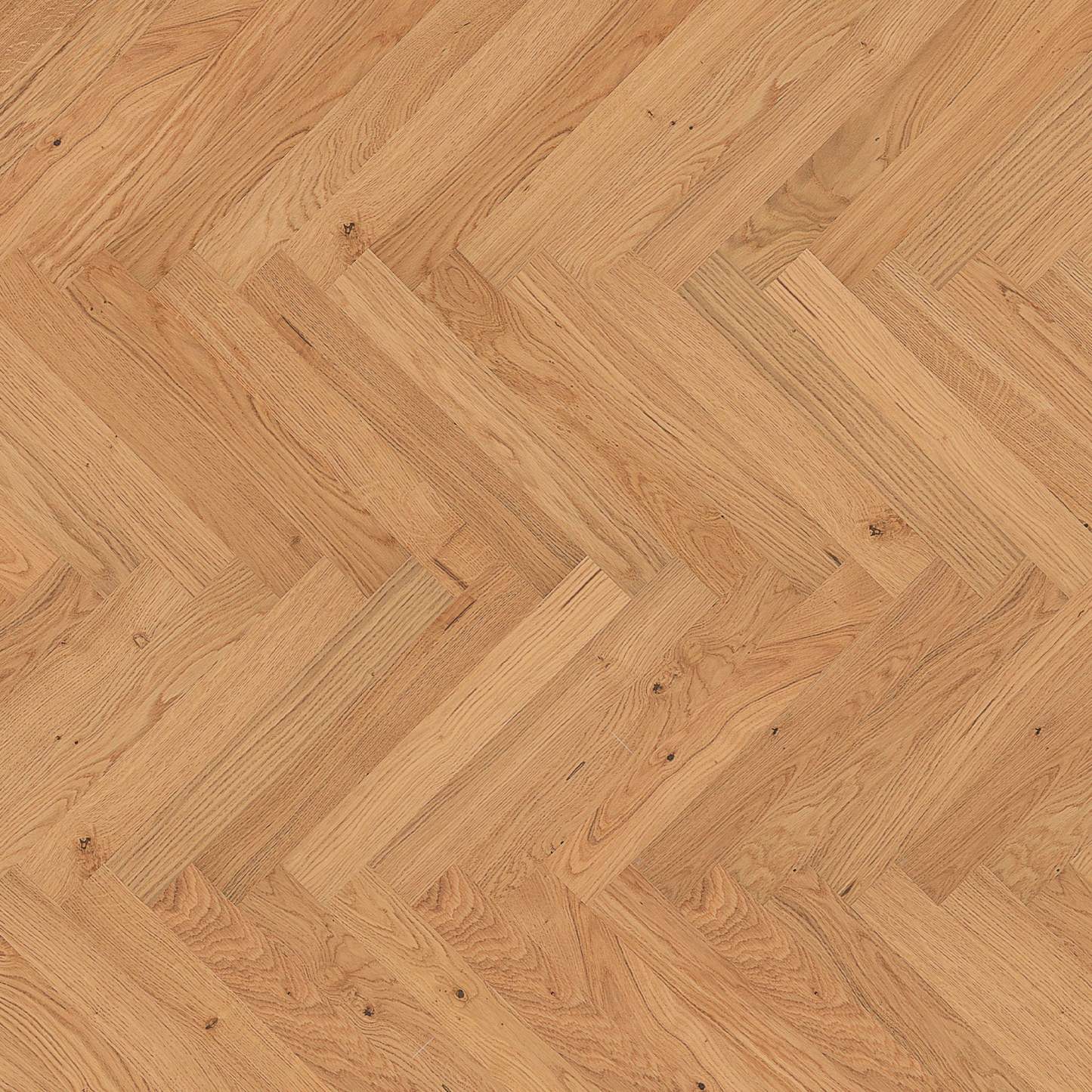 Liam Accent Cabinet - Blanc|Armoire décorative Liam - blanche