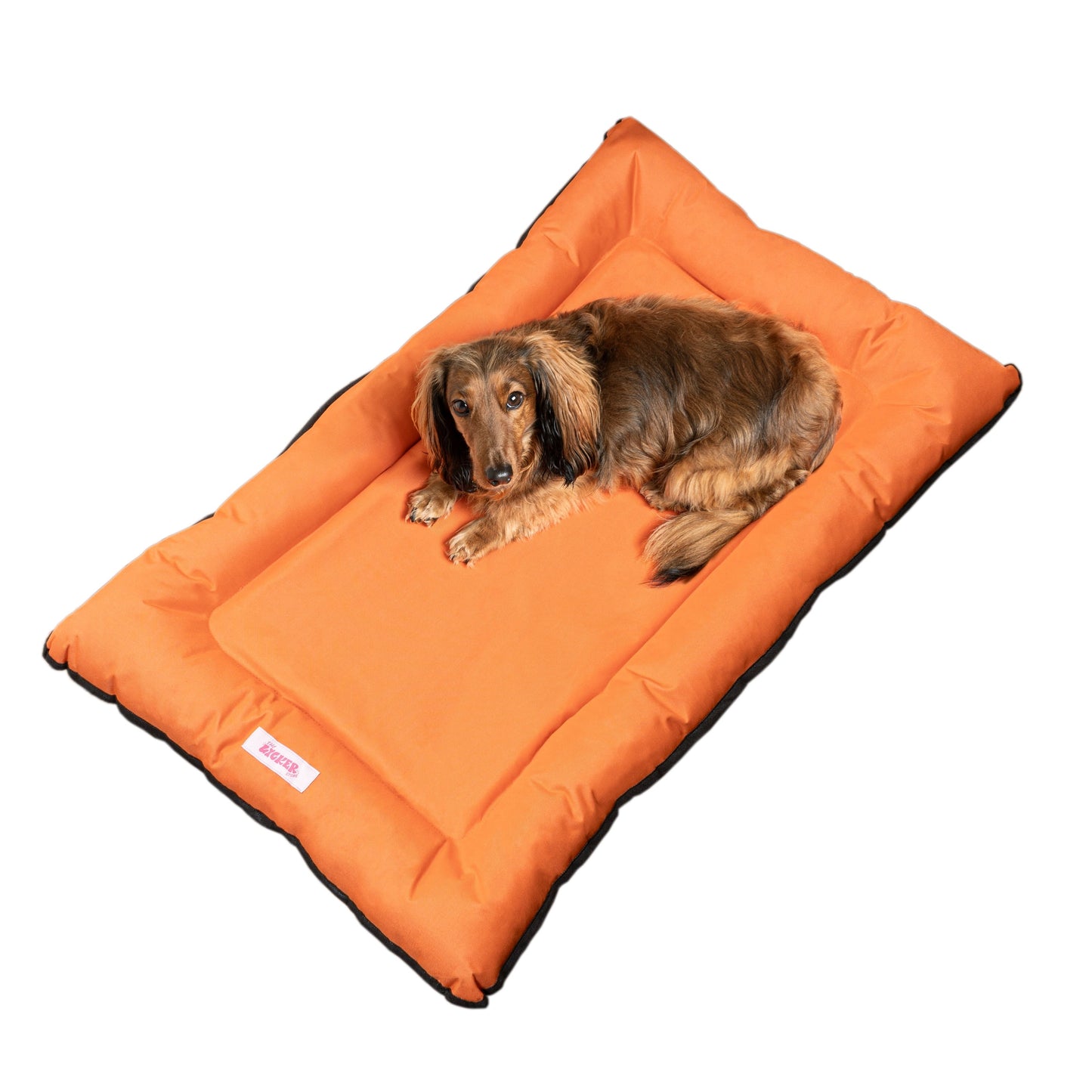 Lit pour animaux de compagnie Archie Traditional Oxford imperméable en mousse à mémoire de forme lavable à la main pour l'intérieur et l'extérieur