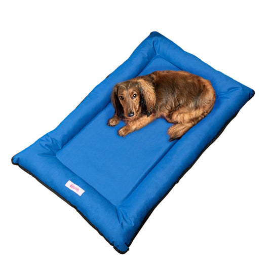 Lit pour animaux de compagnie Archie Traditional Oxford imperméable en mousse à mémoire de forme lavable à la main pour l'intérieur et l'extérieur