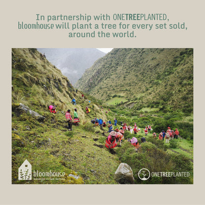 Service de table Bloomhouse Santorini Mist 16 pièces, assiettes et bols à double bol en terre cuite émaillée réactive