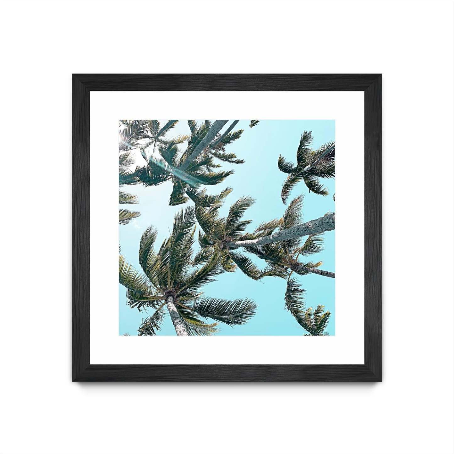 Palm 03 Œuvre d'art murale encadrée noire et mate « Palm 03 » 30 x 30