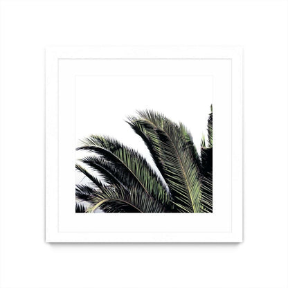 Cape Storm Matted and Framed White 36x36 Wall Art|Œuvre d'art murale encadrée blanche et mate « Cape Storm » 36 x 36
