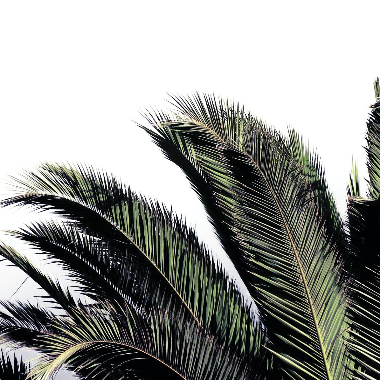 Œuvre d'art murale géante « Cape Storm » 54 x 54