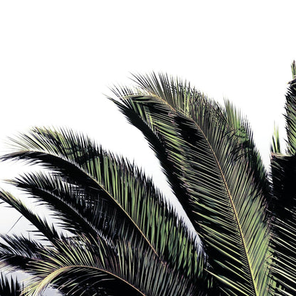 Œuvre d'art murale géante « Cape Storm » 54 x 54