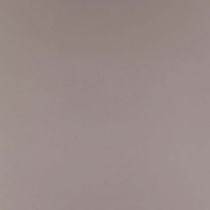 Manhattan Comfort Modern Serena Dining Armchair Rembourré en Similicuir avec Pieds en Acier - Gris Clair|Chaise de salle à manger à accoudoirs moderne Serena de Manhattan Comfort revêtue de similicuir avec pattes en acier - gris clair