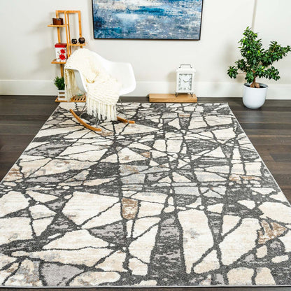 Tapis Darius Broken Ice Area - 6'7 x 9'6|Tapis Darius à motif de glace brisée - 6 pi 7 po x 9 pi 6 po