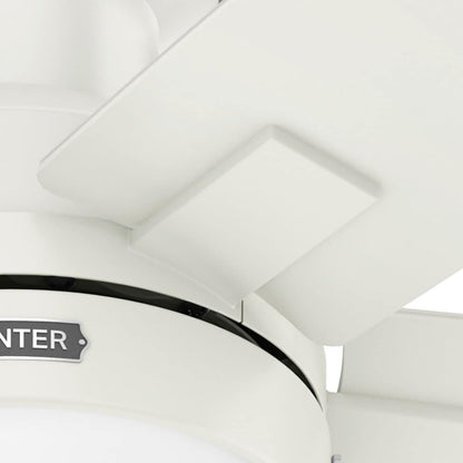 Ventilateur de plafond Hunter 52 Anisten à profil bas avec éclairage LED et chaînette - Style moderne, contemporain et transitionnel