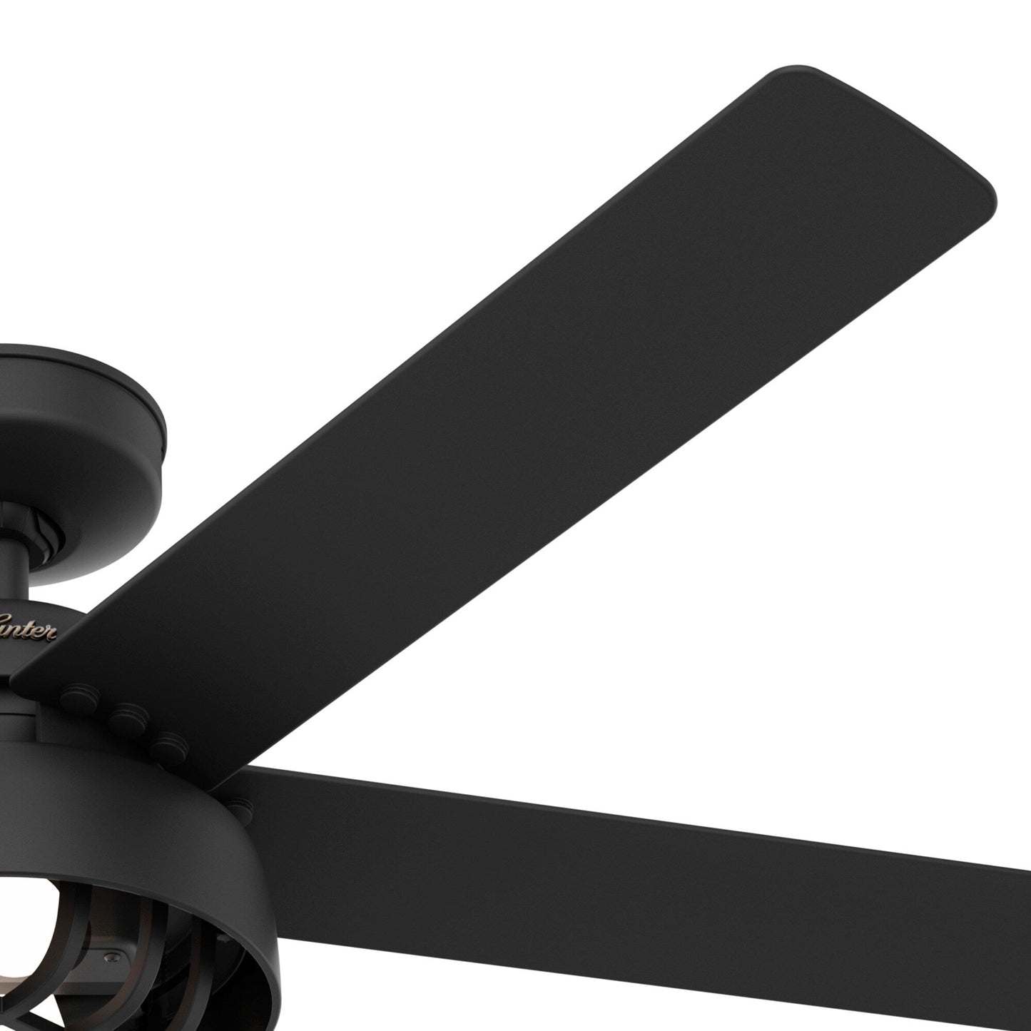 Ventilateur de plafond Hunter 52 Autumn Breeze II pour intérieur/extérieur avec éclairage LED et télécommande - Style industriel, transitionnel, moderne, cage