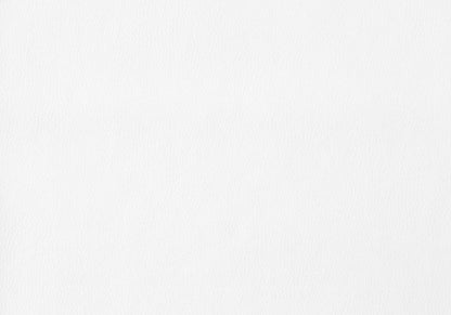 2pcs White Leather-look Chrome Dining Chair|Chaise de salle à manger en chrome avec apparence cuir blanc, 2 pièces|D90FOR1N