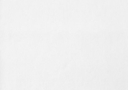 2pcs White Leather-look Chrome Dining Chair|Chaise de salle à manger chrome et apparence cuir blanc, 2 pièces|D90F9P3H