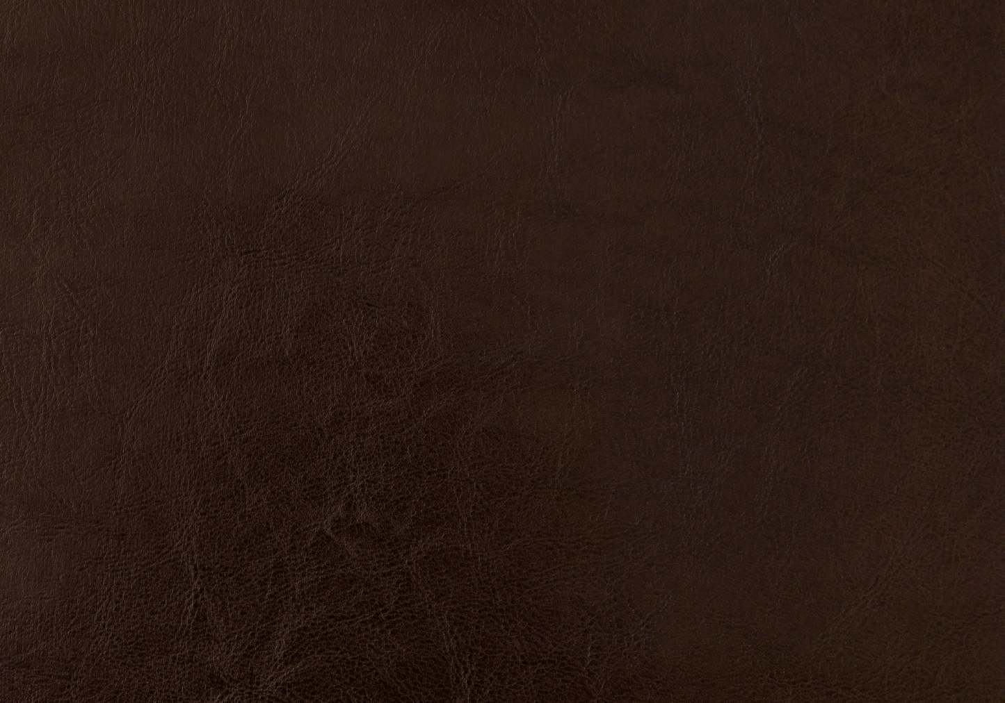 Queen Size Dark Brown Leather-look Bed|Grand lit d’apparence cuir brun foncé|D90FI0GU