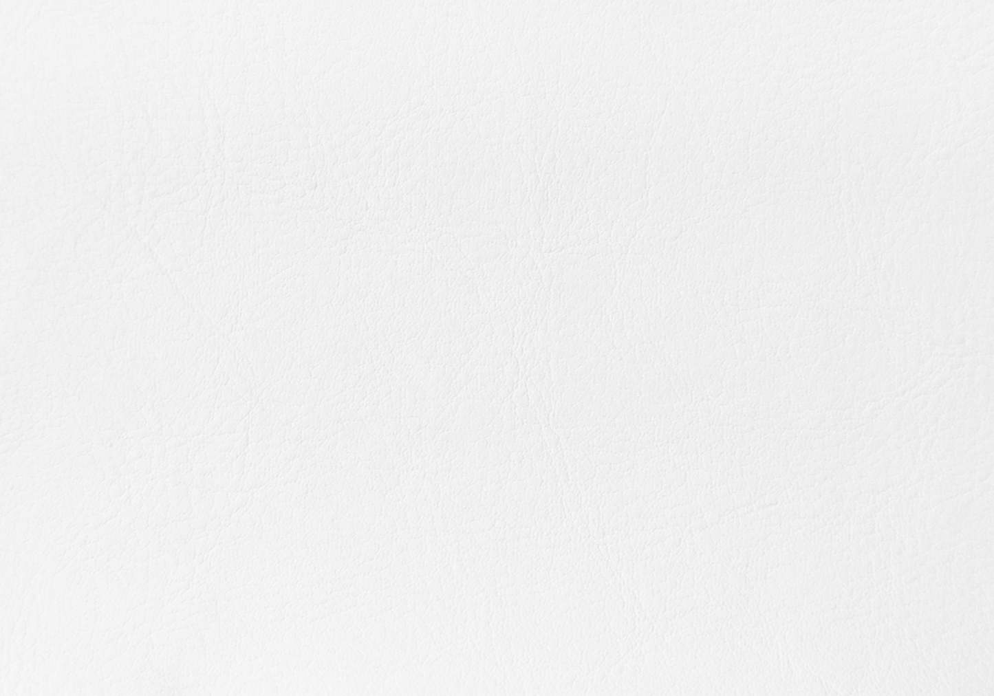 Queen Size White Leather-look Bed|Grand lit d’apparence cuir blanc|D90FCDG3