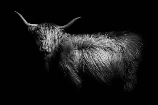 Bonjour Giant Art 72x48 Wall Art|Œuvre d'art murale Giant Art « Bonjour » 72 x 48