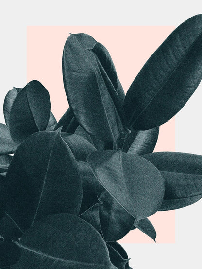 Œuvre d'art murale géante « Tonight » 72 x 54