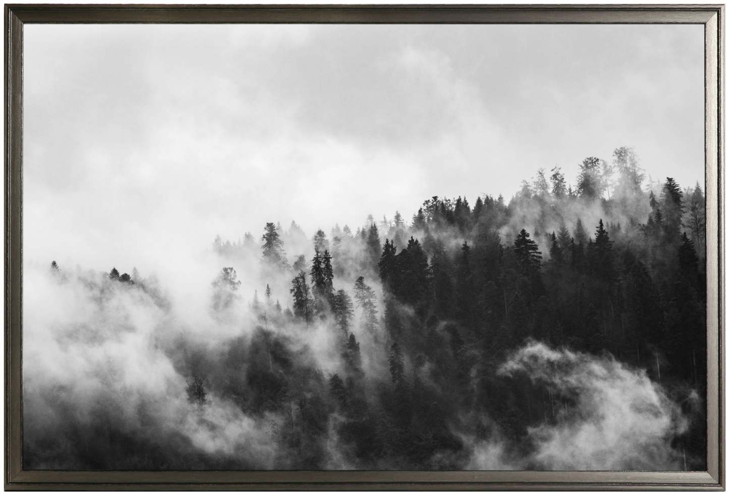 Œuvre d'art encadrée au fini lustré « Smokey Forest » - 26 po x 38 po