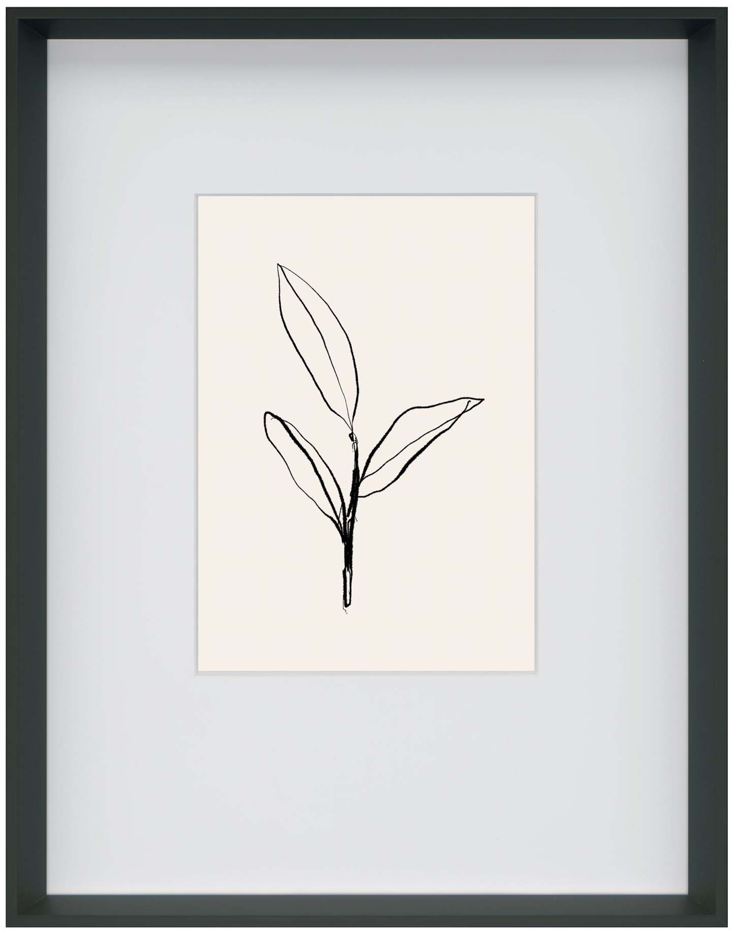 Œuvre d'art en verre mat encadrée « Ink Leaf I » - 23,5 po x 29,5 po