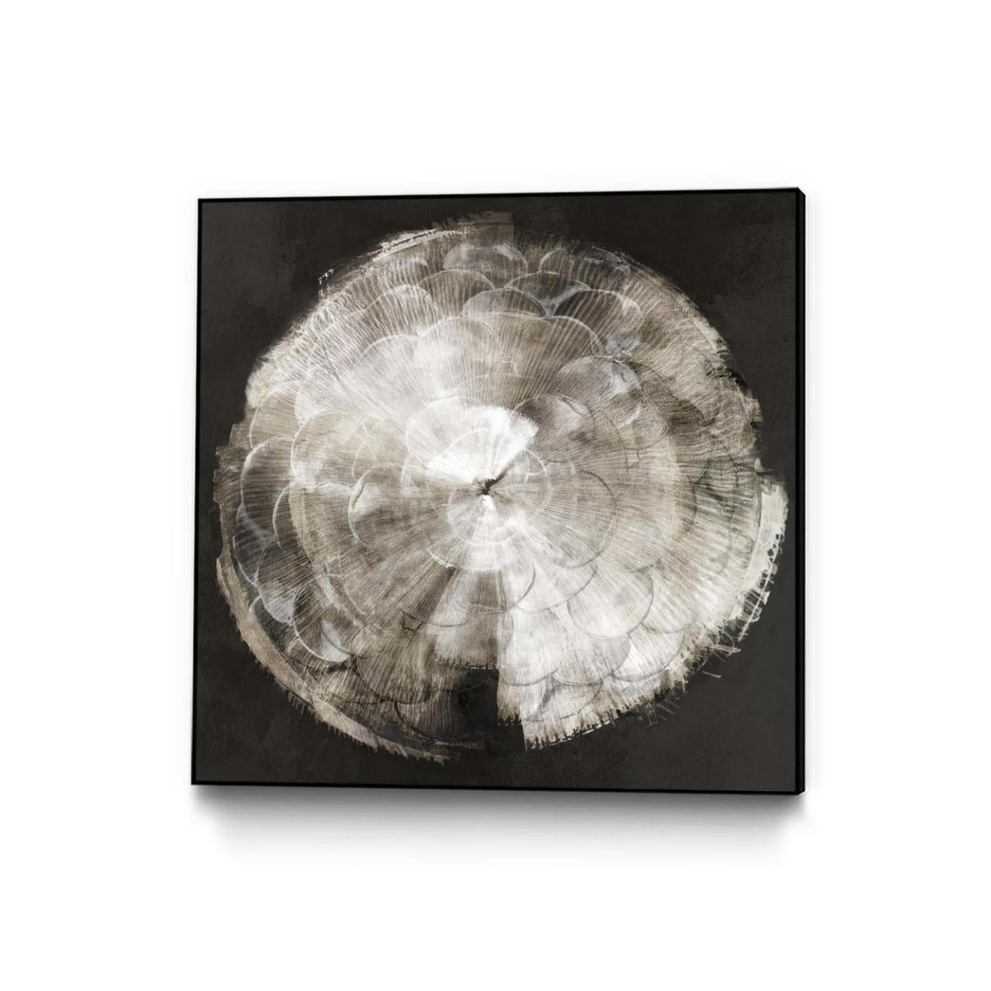 Œuvre murale sur toile encadrée noire « Touch Of Darkened Silver » 20 x 20