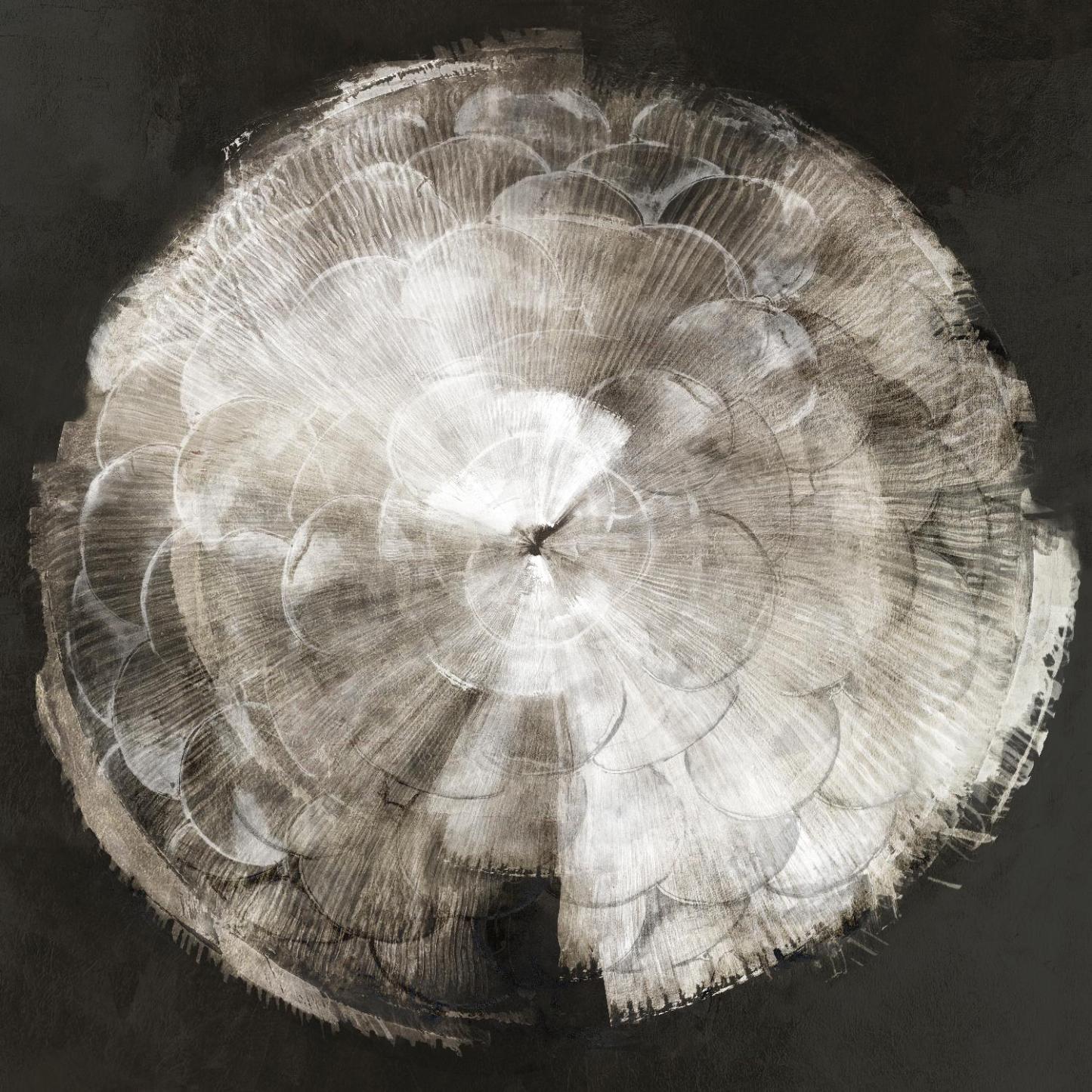 Œuvre d'art murale géante « Touch Of Darkened Silver » 72 x 72