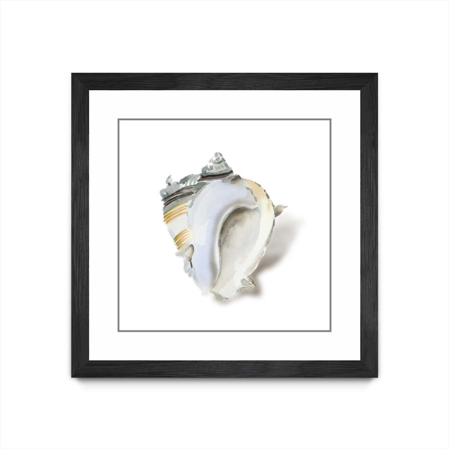 Œuvre d’art murale encadrée noire et mate « Seafoam Shell » 30 x 30