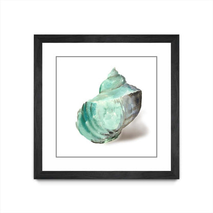 Œuvre murale encadrée noire et mate « Shell In Mint » 30 x 30