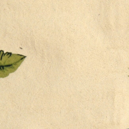 Tapis en laine Chelsea Margrieta fait main SAFAVIEH, style campagne française