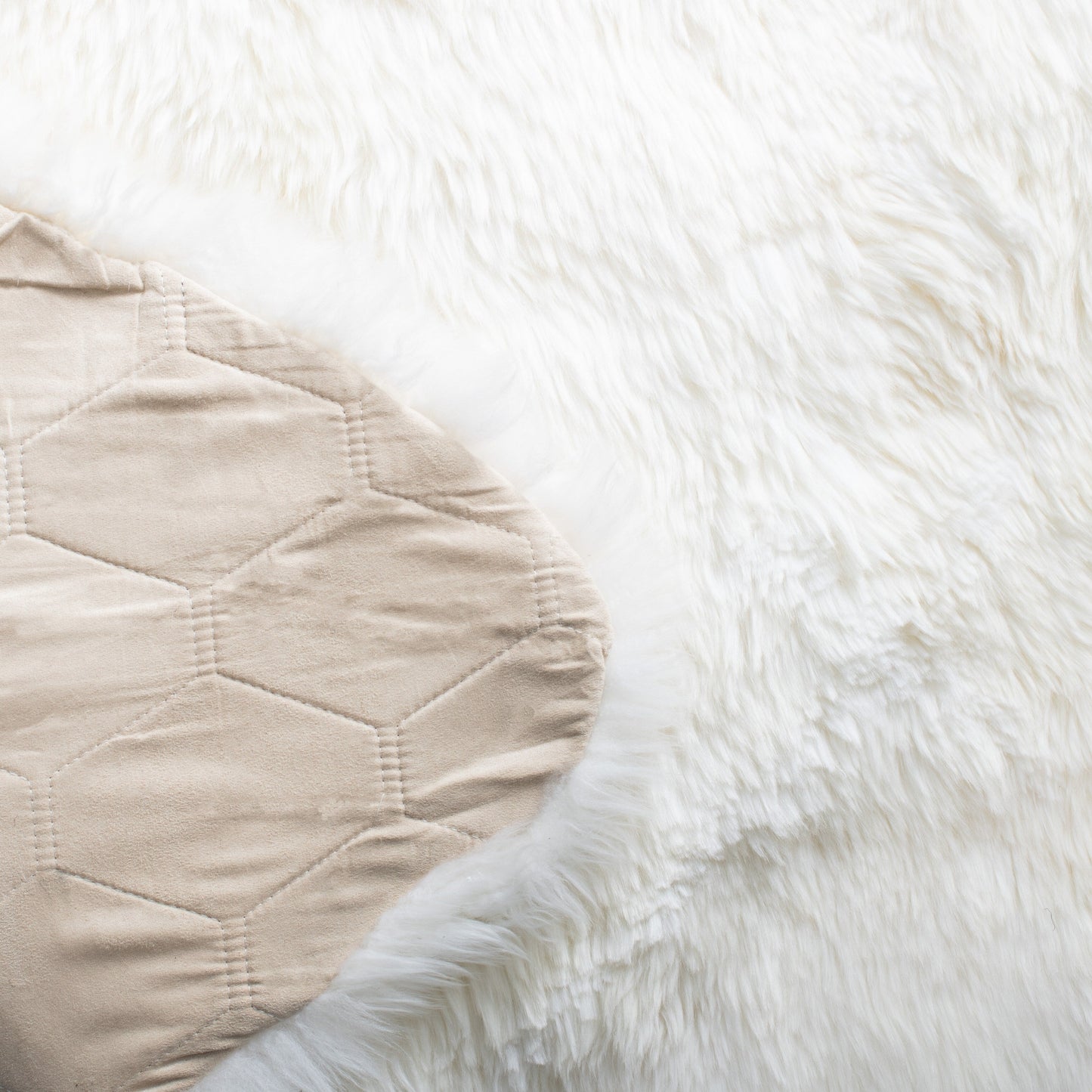 Tapis Brittnie en peau de mouton véritable, fait main par SAFAVIEH