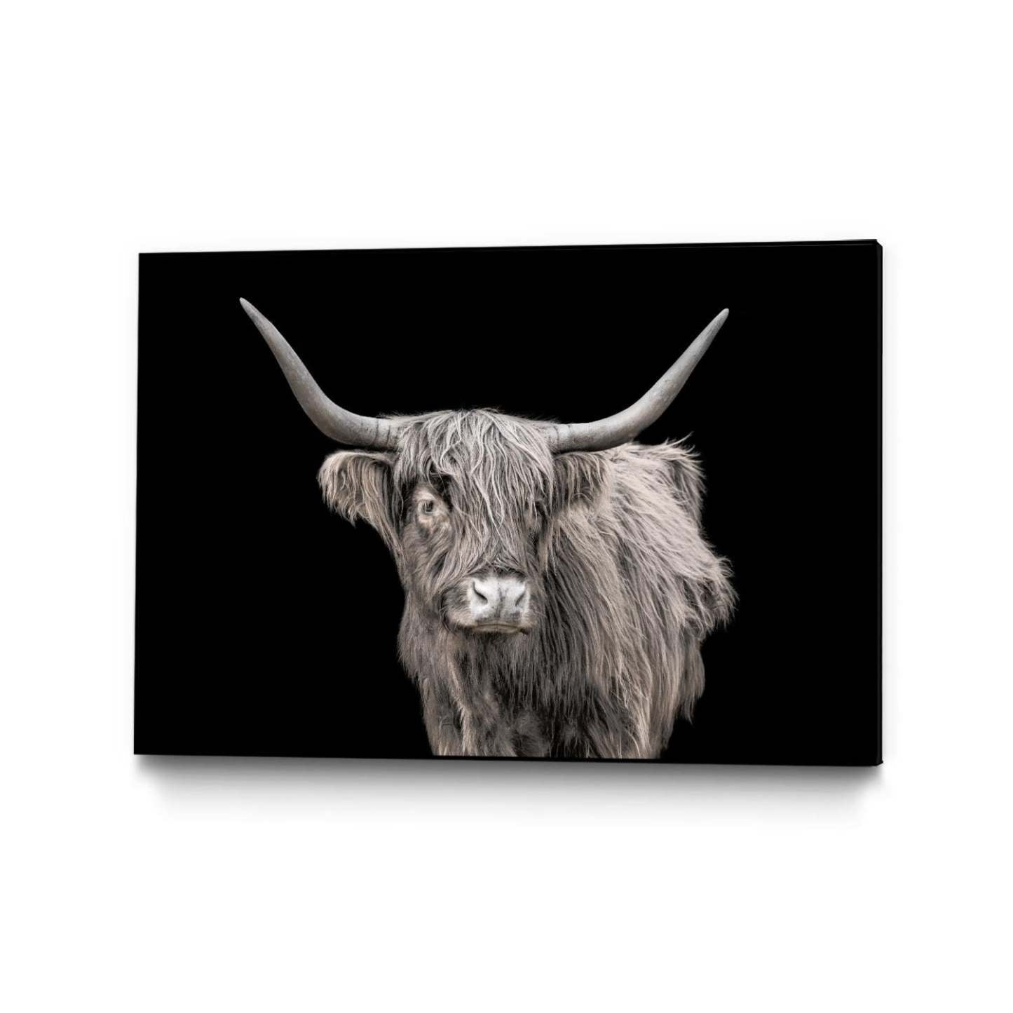 Œuvre d'art murale sur toile encadrée noire « A New Kid In Town » 36 x 24