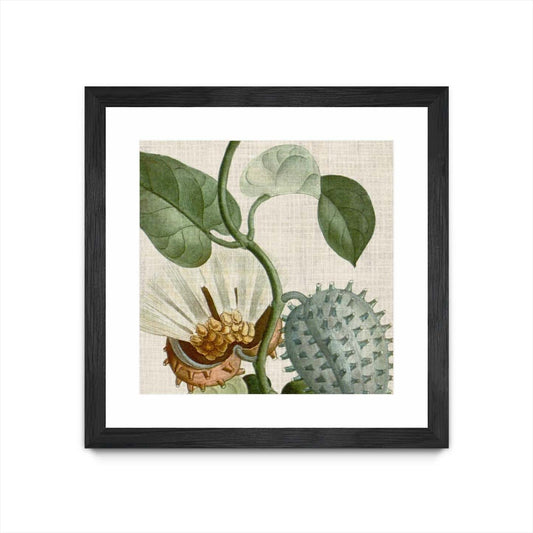 Œuvre d’art murale encadrée noire et mate « Cropped Turpin Tropicals Ii » 30 x 30