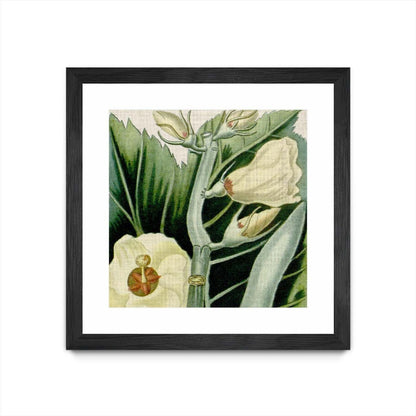 Œuvre d’art murale encadrée noire et mate « Cropped Turpin Tropicals Iii » 30 x 30