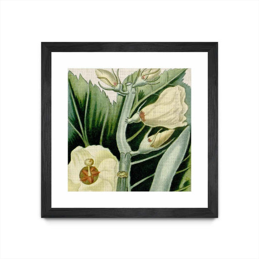 Œuvre d’art murale encadrée noire et mate « Cropped Turpin Tropicals Iii » 30 x 30