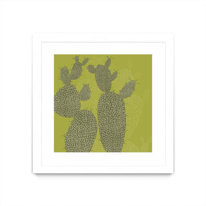 Opuntia I Matted and Framed White 36x36 Wall Art|Œuvre d'art murale encadrée blanche et mate « Opuntia I » 36 x 36