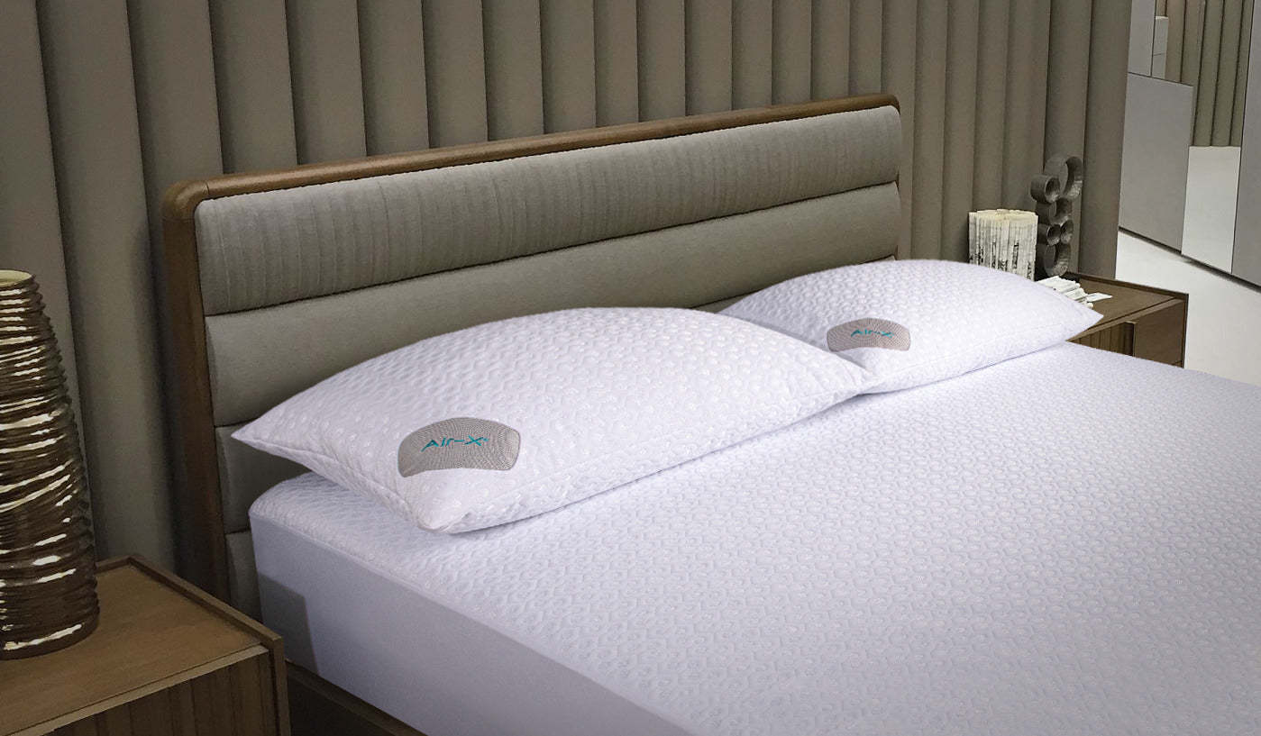 BEDGEAR Dri-Tec® Housse d'oreiller pour grand lit|Housse d'oreiller Dri-TecMD de BedgearMC pour grand lit|BFX03AWZQ