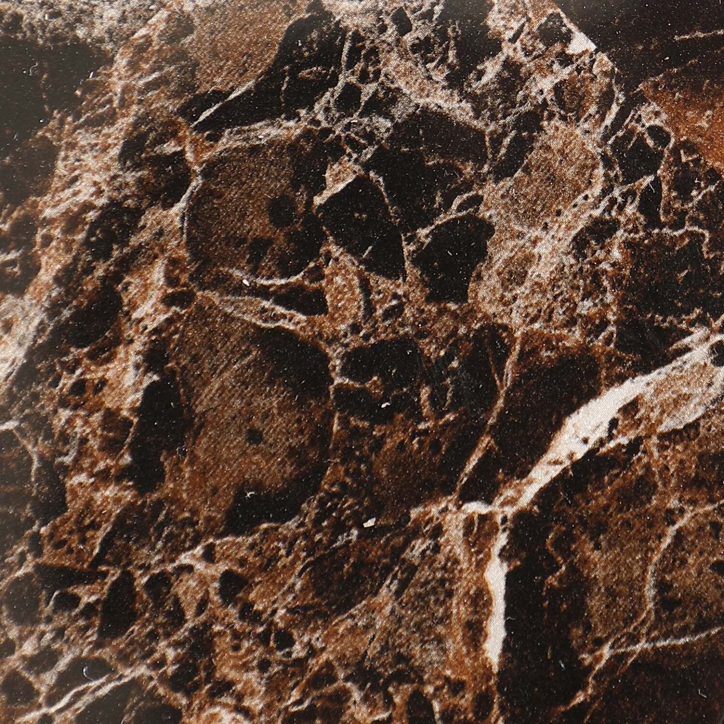 Heidi 54 Ornate Sofa Table with Shelf - Marron et Champagne avec pieds en métal|Table de salon ornée Heidi de 54 po avec tablette - brune et champagne avec pattes en métal