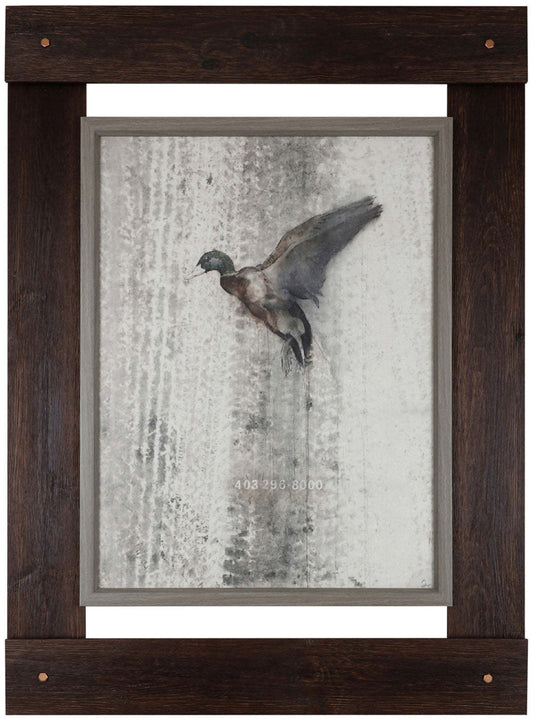 Fly High – 33.25 x 46|Haute voltige - 33,25 po x 46 po|DAN05AAT